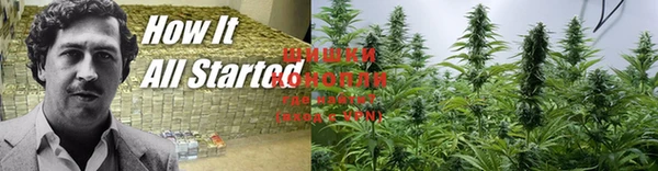 гашишное масло Богданович